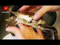 🦀 Como limpiar un Cangrejo? How to clean a whole Crab I Lorentix