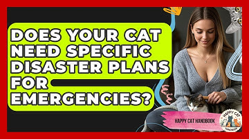 Does Your Cat Need Specific Disaster Plans For Emergencies? - Happy Cat Handbook