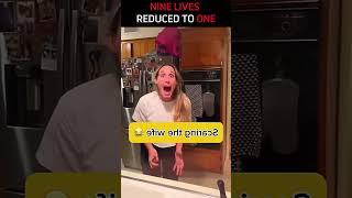 Funny Animal And Pet Prank Compilation