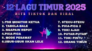 Download Lagu 12 Lagu Timur 2025 Paling Viral | Full Album Lagu Timur Terbaru yang Lagi Meledak di TikTok! MP3