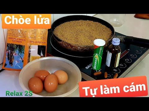 Video Làm cám cho chích chòe lửa - youtube