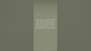 #سورة_البقرة من آية ٨١ إلى آية ٨٥ مكررة للحفظ🌿