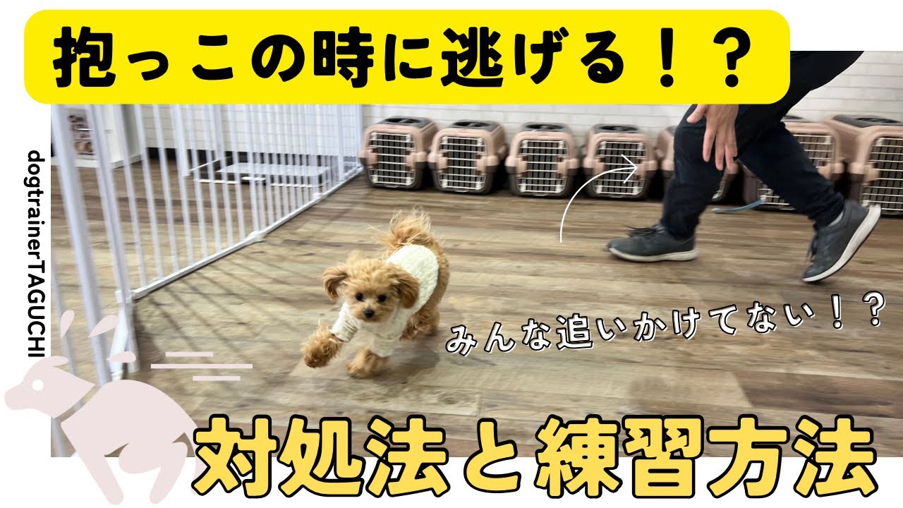 いざ抱っこしようとしたら逃げてしまう子の対処と練習方法