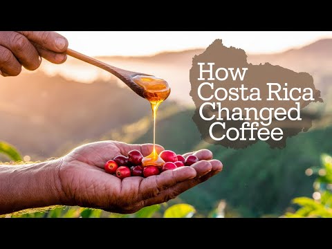 Costa Rican Coffee: