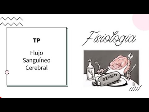 Vídeo: Autorregulación Cerebral Dinámica En La Circulación Cerebral Anterior Y Posterior Durante La Prueba De Presión Fría