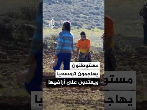 تحت حماية الاحتلال.. مستوطنون يعتدون على أراضي فلسطينيين في ترمسعيا