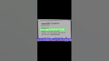 how to know if your mac is intel or apple silicon