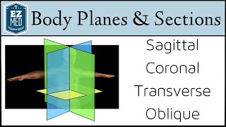EASY TRICKS for Anatomical Body Planes and Sections [Direction/Position]