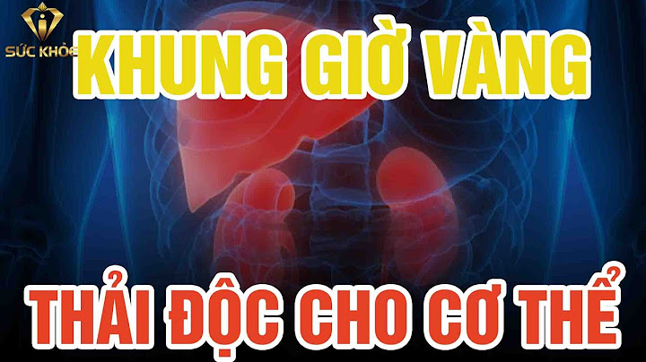 11h-1h bộ phận nào trong cơ thể làm việc