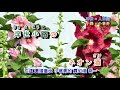 波止場しぐれ  字義版