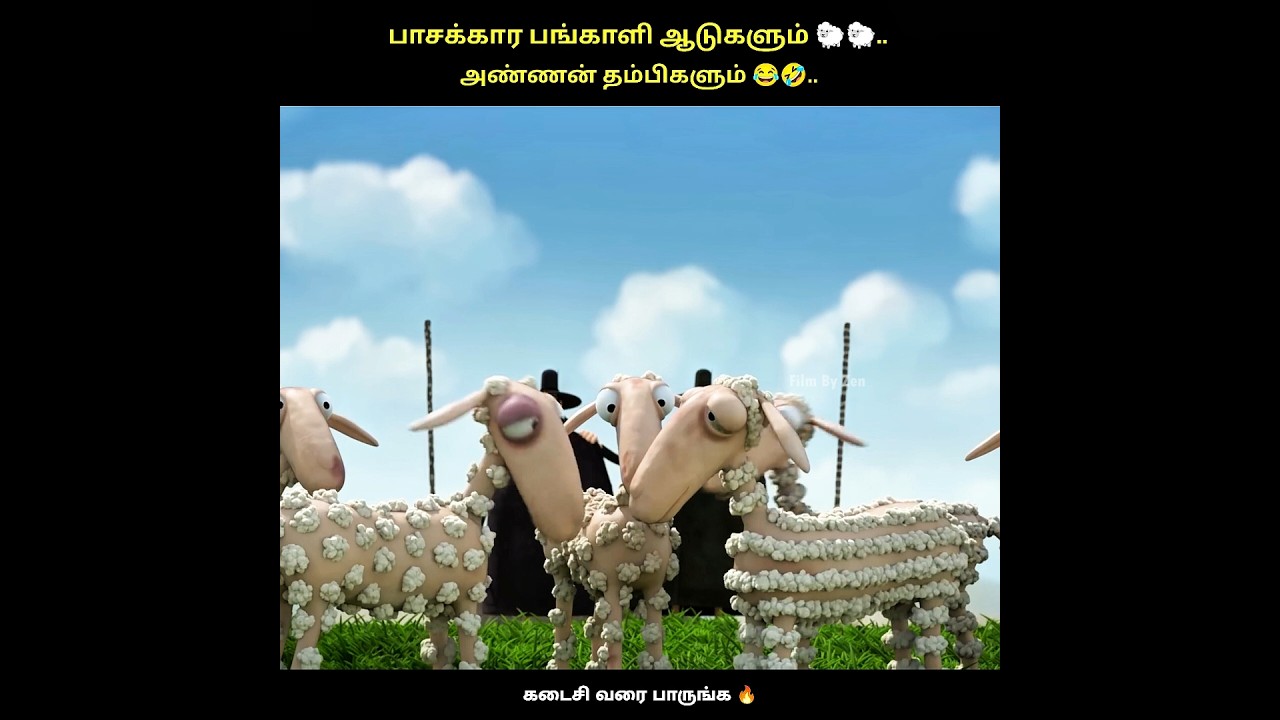 ஆடுகள் செய்யும் செம்ம காமெடிகள் 😂🤣|#lough #funnymoments #comedy #trynottolaugh #shorts