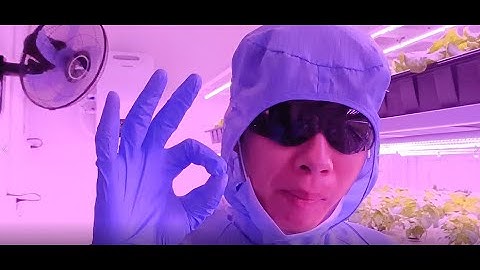 CONTROLLED ENVIRONMENT AGRICULTURE