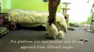 Using a platform to teach changes in position (fronts, finishes, etc)