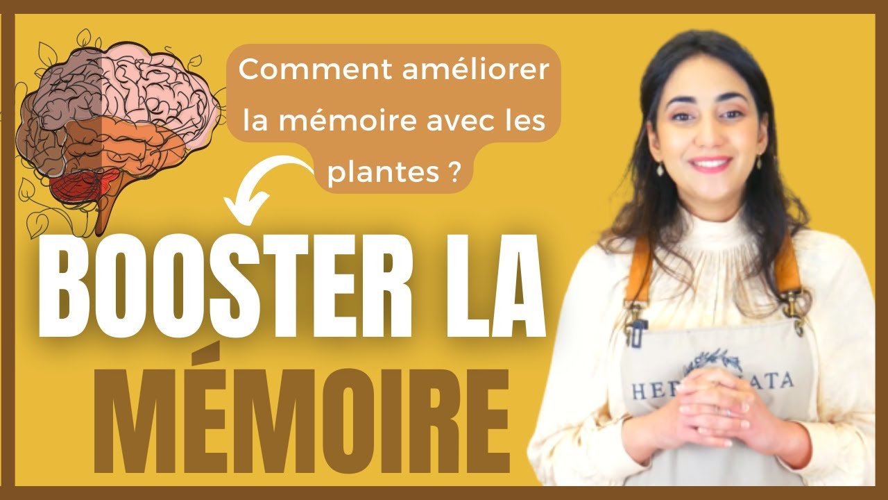 Amliorer la mmoire et la concentration avec les plantes - Conseils et  solutions naturelles