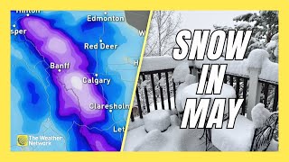 Snow Kicks Off Month of May in Southern Alberta