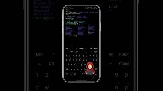 Enabling Android File System Access in Termux terminal emulator Android Smart Phone