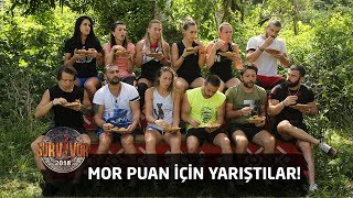 Survivor 2018 4Bölüm Mor Puan Için Yarıştılar