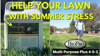 Summer Stress Relief with MultiPurpose Plus 4-0-2