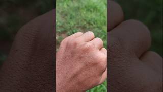 cool, super green insect on my finger #anyuniqueanimals #insects #nature