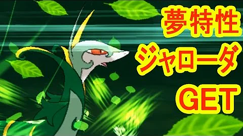 ポケモンオメガルビー夢特性