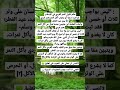 حكم تناول التمر بعدد فردي في الاسلام حكم تناول التمر بعدد فردي في الاسلام