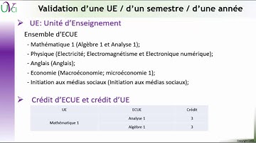 Dispositif de formation de l