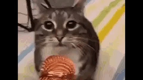 Shit faction cheats in a 5v5 ft. Retards (outlaws)