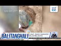 Lalaking naghuhukay, patay matapos madaganan ng malaking bato | Balitanghali