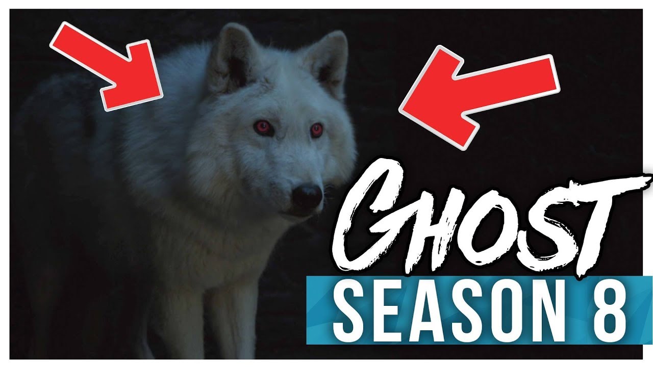 The Return Of Ghost Confirmed For Game Of Thrones Season 8 Youtube