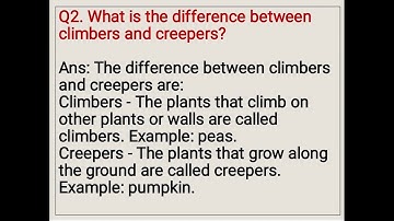 Class 2B EVS Ch 17 Plant World Part 2