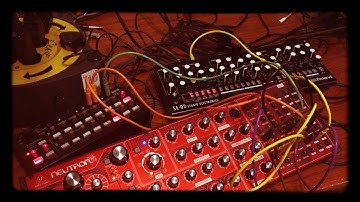 Essay Five | Behringer Neutron + Roland SE-02 + Korg SQ-1