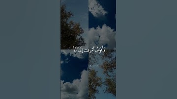 الشيخ خالد الجليل وافوض امري الي الله #قرآن_كريم #آيات #الله #دعم #قرآن #راحة_نفسية #خالد_الجليل