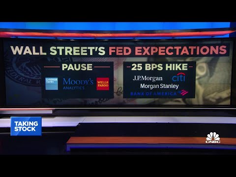   I Think The Fed S A Little More Likely To Pause Says Wells Fargo S Michael Pugliese