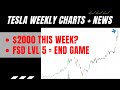TSLA Weekly Analysis | Tesla Stock | FSD LVL 5