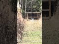 10/22 16” carbon .920 KSA barrel. Silencerco switchback suppressor. CCI clean 22 subs. @ 100 yard