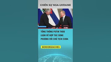 Tổng thống Putin thảo luận hợp tác song phương với Chủ tịch Cuba #biendongdachieu @eurasianpolitics26