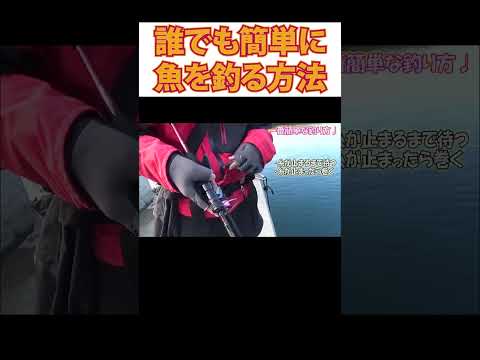 解説中に釣れてしまった😲【本編リンクはコメント欄】 #shorts #釣り  #りんたこみっぴ