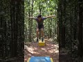 leaping across forest background. High-level focus on her balance and movement across the water