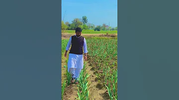 Punjab Village Mianwali Kamarmushani Punjab Villagelife Mianwali Kamarmushani 
