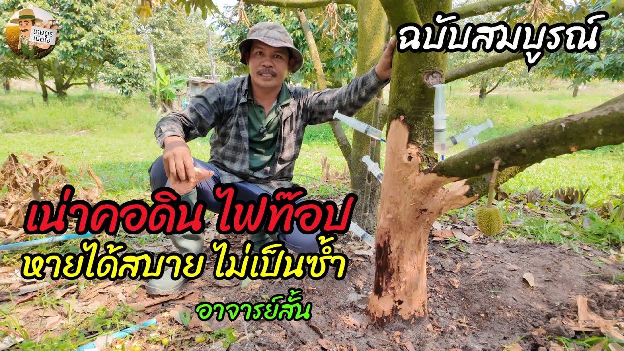 เน่าคอดิน ไฟท๊อป หายได้สบาย ไม่เป็นซ้ำ ฉบับสมบูรณ์