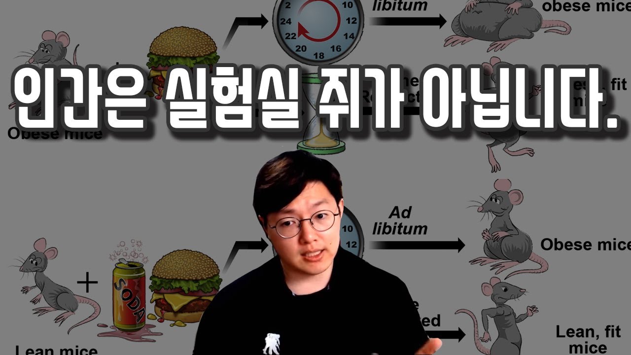 간헐적 단식! 누구는 되는데, 나는 왜 안되는가?