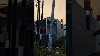 Morning Vibes in a Quiet Village | Yogyakarta