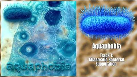 Bx0HxTxOx6xJxQx - Aquaphobia [Album] (Cellwall)
