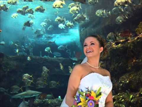 wilmington-north-carolina's-finest-wedding-reception-locations-nc-aquarium-at-fort-fisher