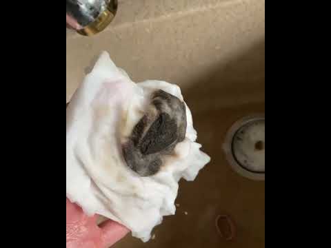 Черная вода идет из крана в Южно-Сахалинске