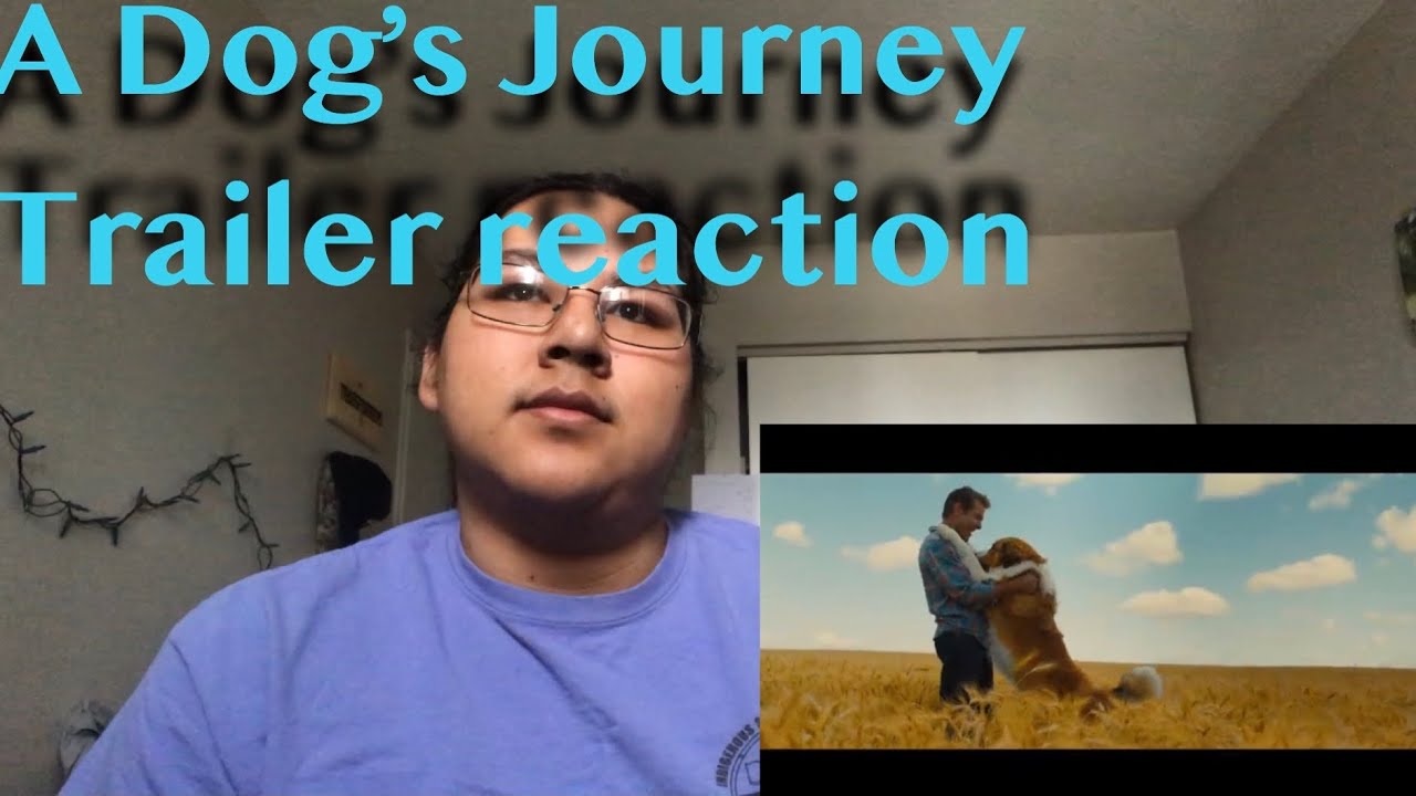 a dog's journey reaction