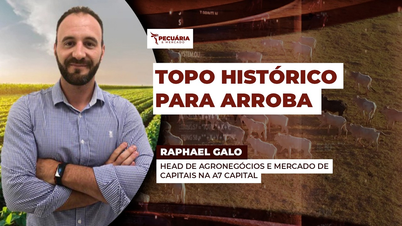 Topo histórico de R$352, 65/@  do Cepea deve ser batido nos próximos dias, mas atenção para...