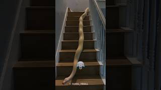 Python snake Transformation 💀