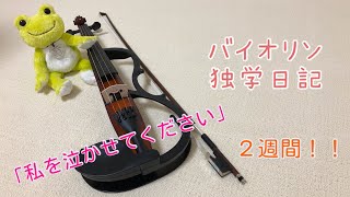 バイオリン独学日記：「私を泣かせてください」を練習し始めて２週間