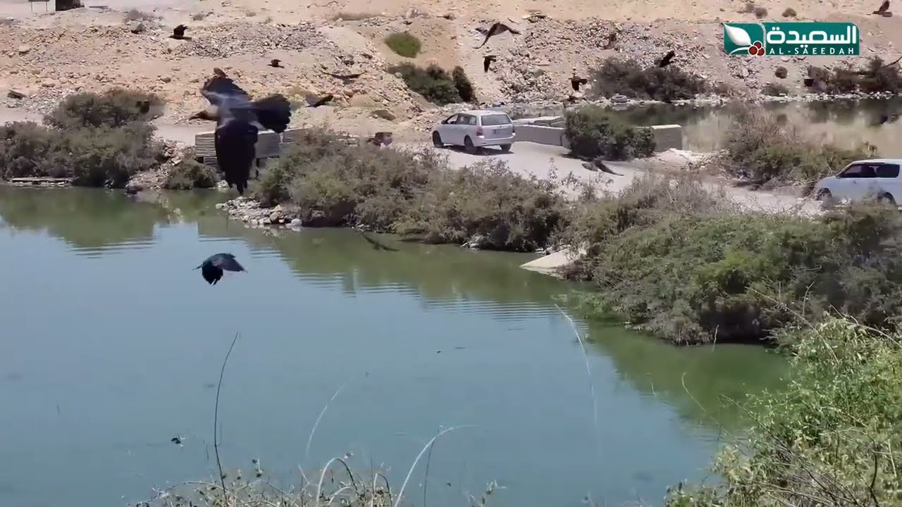 ممر روكب البحري بالمكلا.. إهمال يحوله إلى بؤرة تلوث خطيرة